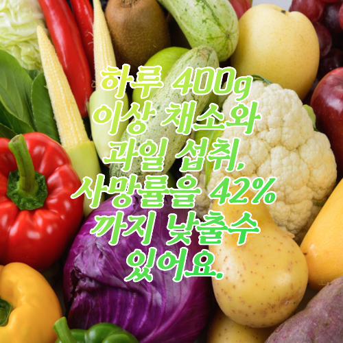 하루 400g이상 채소와 과일을 함께 섭취하면 사망률을 42%까지 낮출수 있어요. with 채소 과일의 효능 및 영양 분석표