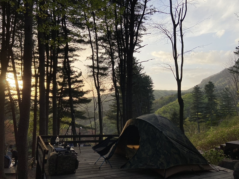 (캠핑) 혼자 떠난 축령산 자연휴양림 솔로캠핑 그리고 캠핑 사이트 후기. 만원으로 자연을 즐기는 방법