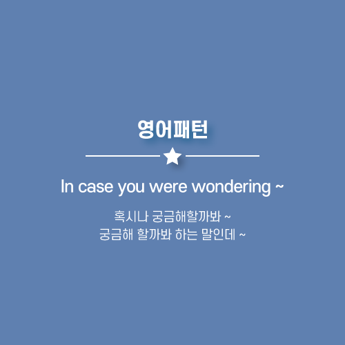 In case you were wondering ~ : 혹시나 궁금해할까봐 하는 말인데, 혹시 궁금해 할까봐 ~, 궁금해 하실거같아서 그런데. 영어로.