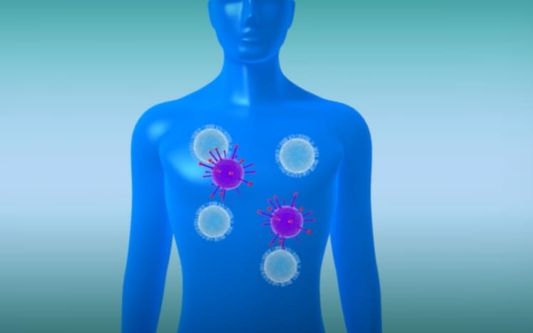 일, 세계 최초 코로나 바이러스 살상 기억 면역 킬러 T세포 규명 新型コVIDEO:ロナウイルスに殺傷効果を持つ記憶免疫キラーT細胞