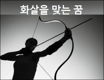 활 꿈해몽 화살을 맞는 꿈 활쏘는 꿈 해몽