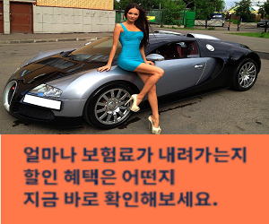 실속적으로 비교해보는 신규자동차보험