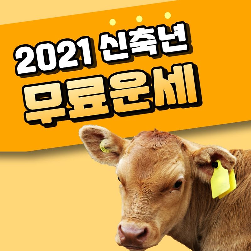2021년 무료신년운세(토정비결) 쉽게 보는곳 3개 사이트