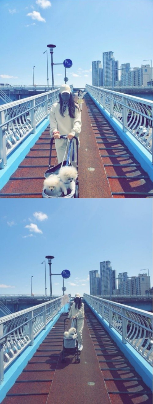 '장동건︎' 고소영, 훌쩍 큰 8살 딸과 산책..반려견도 함께