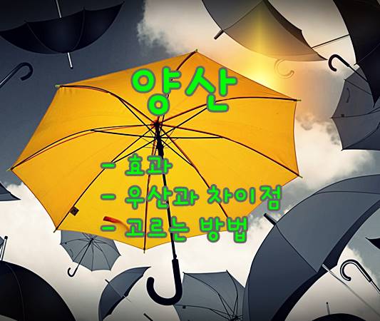 양산의 자외선 차단효과, 양산 선택 방법 그리고 우산과 차이점