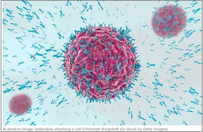 이스라엘, 세계 최초 '컴퓨터 설계' 항체로 암환자 테스트 Cancer patients test world’s first ‘computer-designed’ antibodies, made in Israel