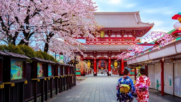 봄에 방문하면 좋은 일본 여행지와 일본의 벚꽃 축제