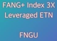 FNGU ETF 종목