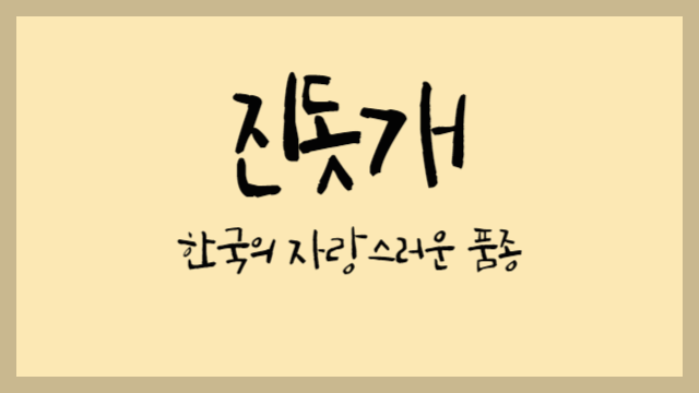 진돗개 : 한국의 자랑스러운 품종