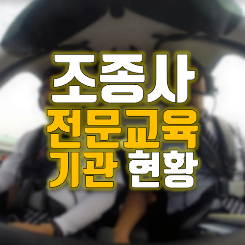 전문교육기관, 항공훈련기관 지정 현황