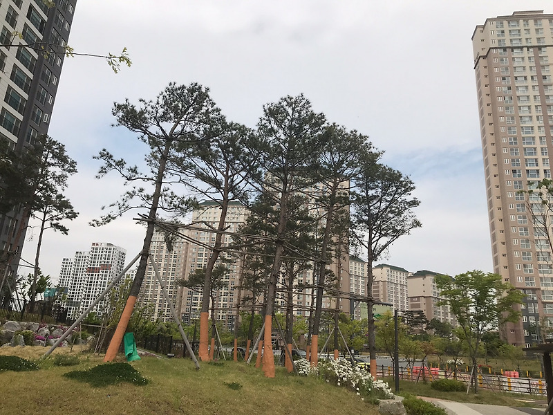 노형욱 국토부 장관 후보자 인사청문회, 부동산 정책 스타일
