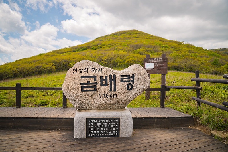 강원도 인제 - 야생화 천국, 천상의 화원 점봉산 곰배령을 가다.