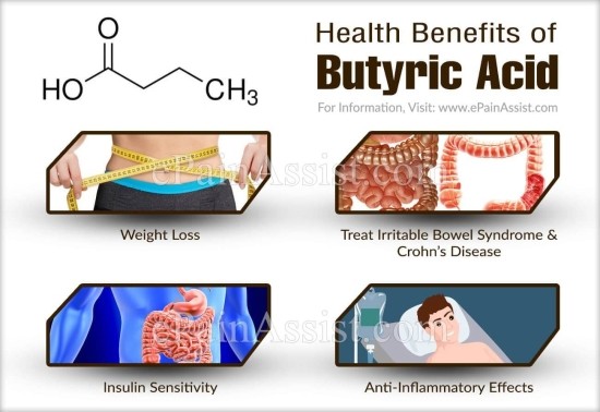 유산균보다 더 좋다는 낙산균 그리고 그 효능What Is Butyric Acid, and Does It Have Health Benefits?