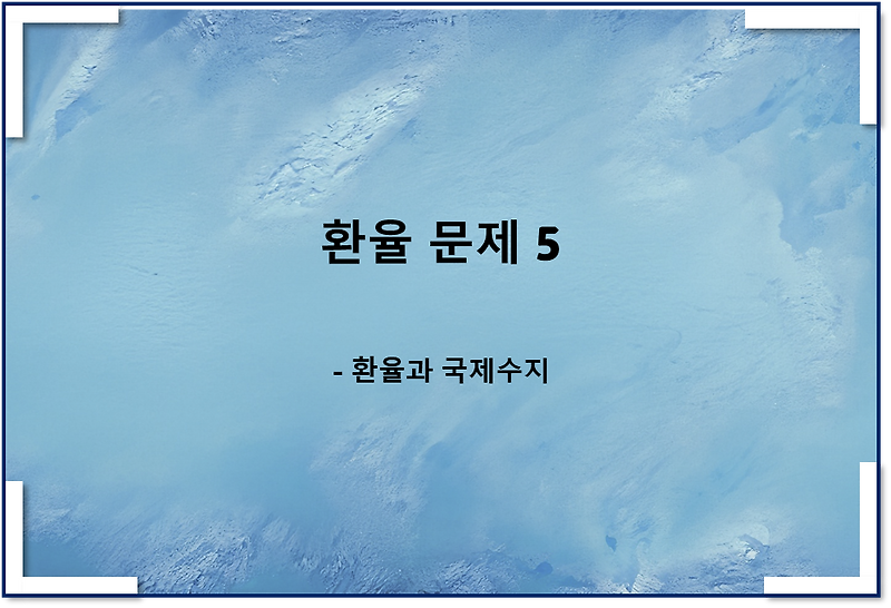 환율 관련 문제5(feat 환율과 국제수지)