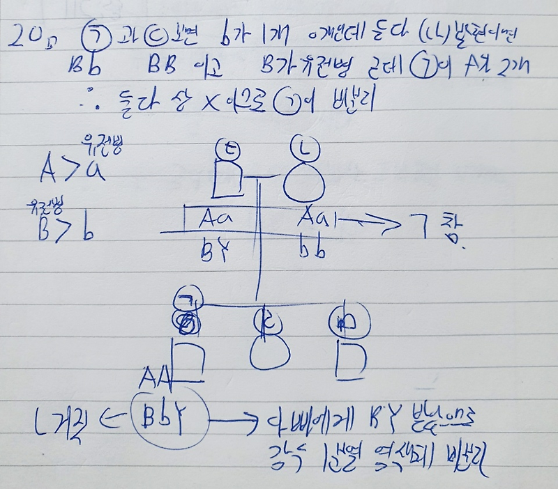 2020 7월 모의고사 생명과학1 문제 및 정답과 해설 그리고 분석