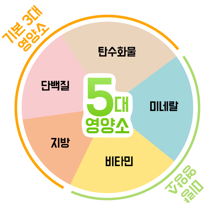 탄수화물 vs 단백질 비율...황금비 있나?