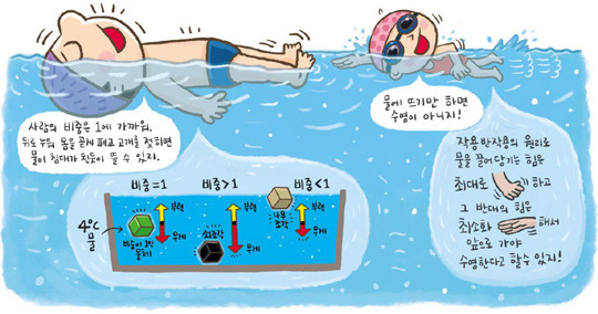 수영하는 요령 VIDEO: How to swim