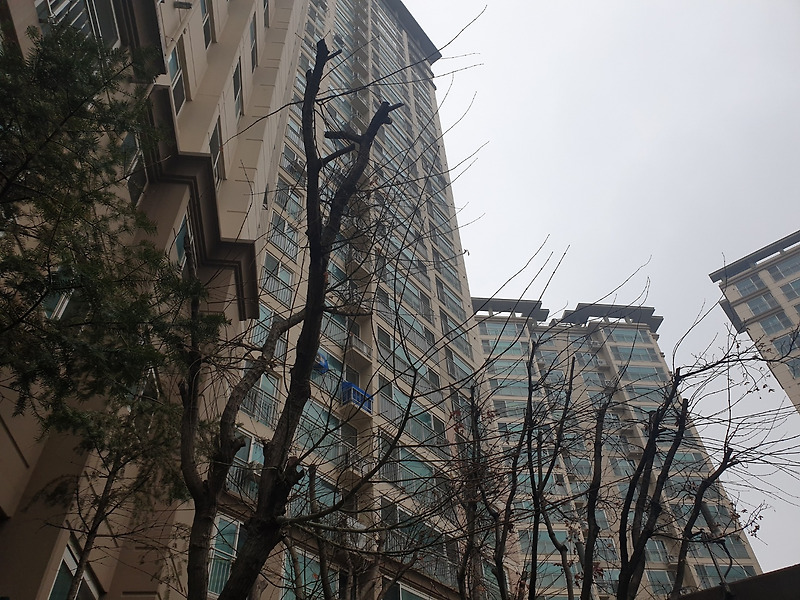아파트 분양 종류 선분양제도와 후분양제도 뜻 장점과 단점, 차이점