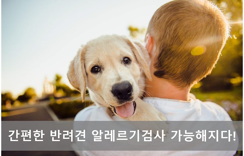 프로테옴텍, ‘반려견 알레르기 2열 라인 진단법’으로 신기술 인증 획득