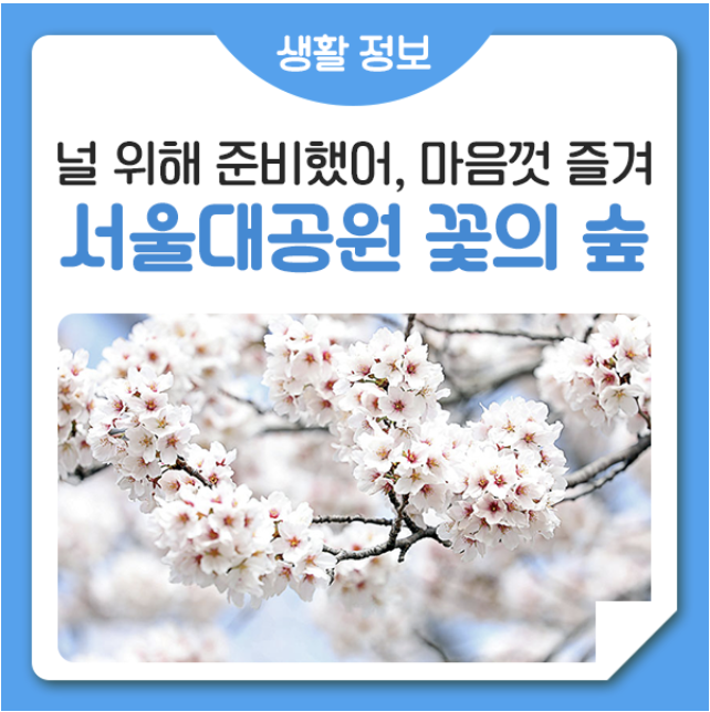 서울대공원 꽃의 숲 산책코스 무료개방, 벚꽃부터 겹벚꽃까지!
