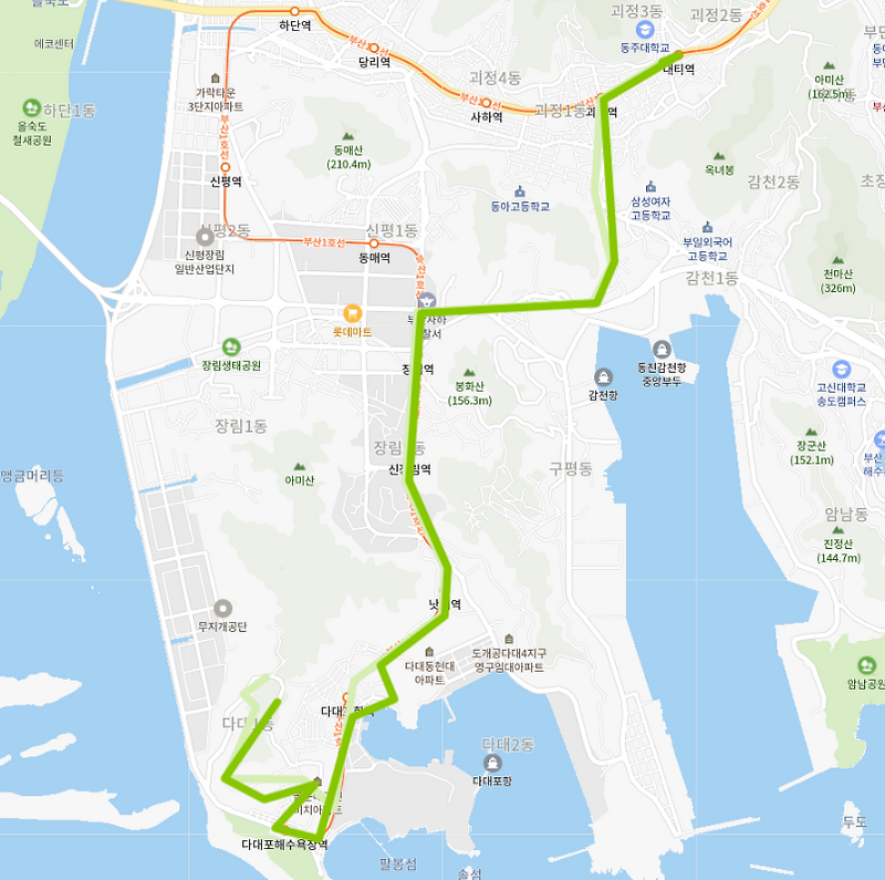 부산 사하구 15번 마을 버스 시간표, 노선 정보[다대롯데캐슬, 다대포해수욕장역, 신장림역, 괴정역, 괴정초등학교]