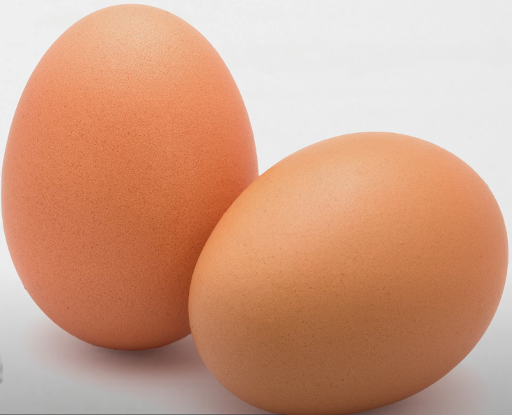 계란의 특징과 효능 그리고 섭취시 주의사항