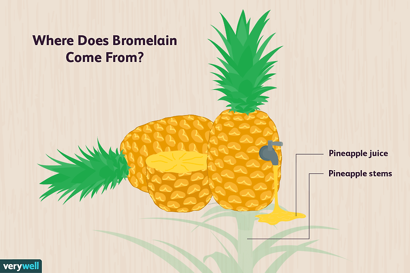 비문증 치료에도 효과있다는 '브로멜라인(Bromelain)'...그리고 파파인(Papain)