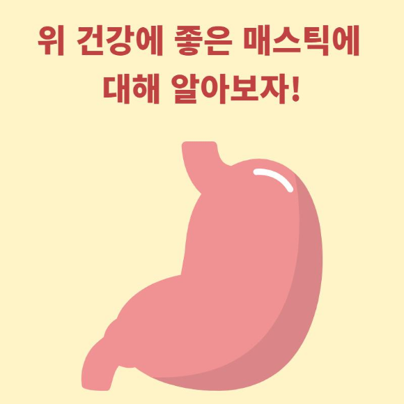위 건강에 좋은 매스틱에 대해 알아보자!