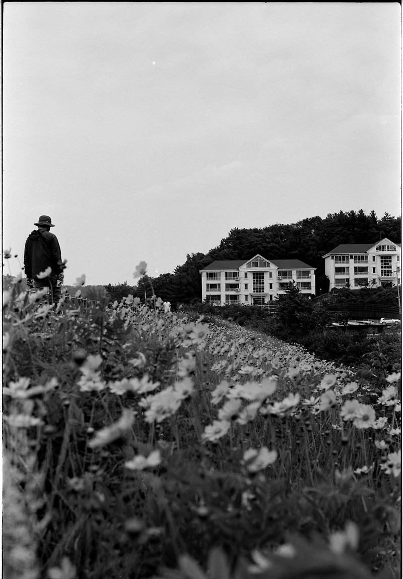 수동 필름 카메라로 찍은 