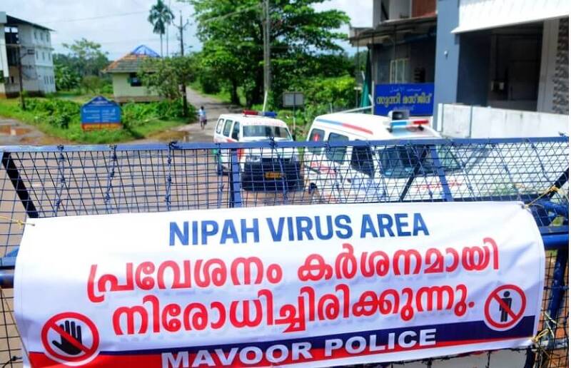 또다른 공포 70% 사망률 니파 바이러스...또 다른 팬데믹 될까? VIDEO:  Nipah Virus Outbreak