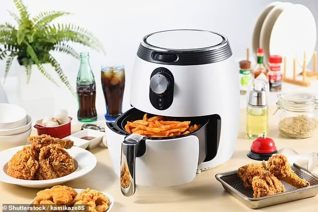 에어 프라이어에 절대 요리해서는 안 되는 푸드 The 7 foods you should NEVER cook in an air fryer, according to experts