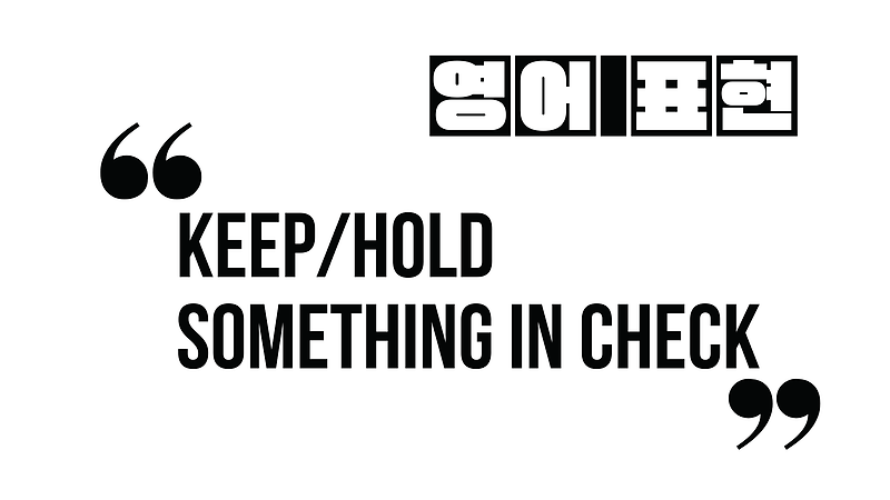 (유용한 영어 표현) Keep/Hold something in check