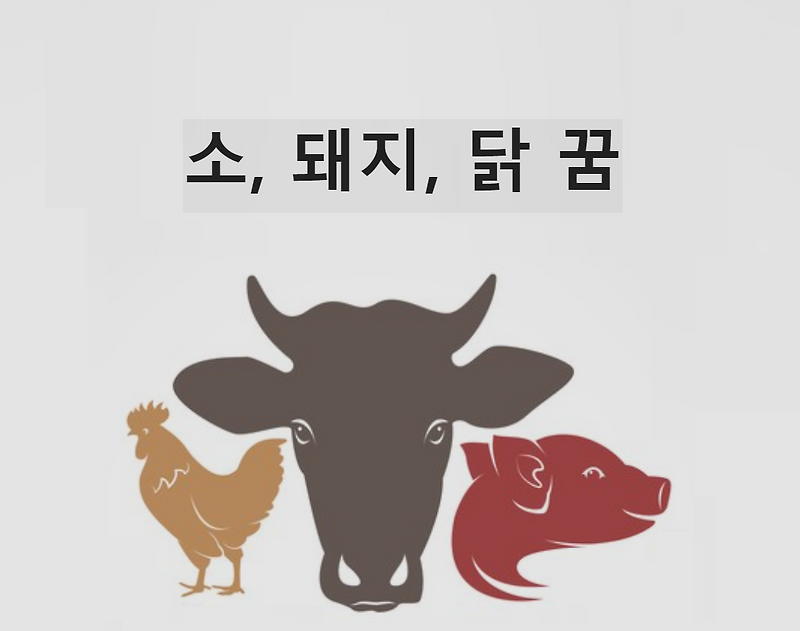 소꿈 돼지꿈 닭꿈 해몽