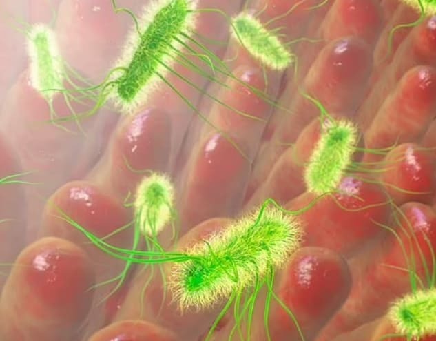 세계에서 가장 치명적인 벌레는?  World's deadliest bugs REVEALED: Bacterial infections kill nearly 8MILLION people a year