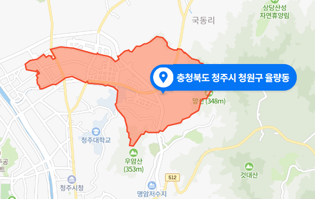 충북 청주시 청원구 율량동 음주운전 뺑소니 사고 (2020년 11월 20일)