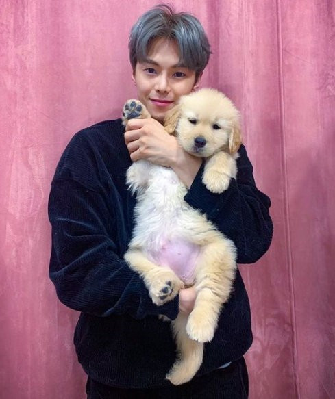 박은석, 강아지 파양설 부인