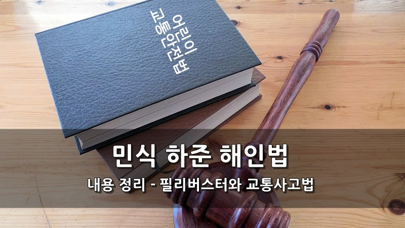 민식이법, 하준이법, 해인이법 내용 정리 - 필리버스터와 교통사고법