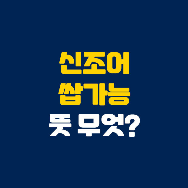 쌉가능 뜻 알아보자
