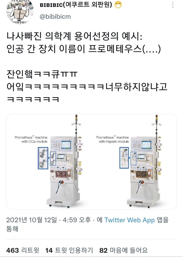 잔인한 의학계 용어 선정