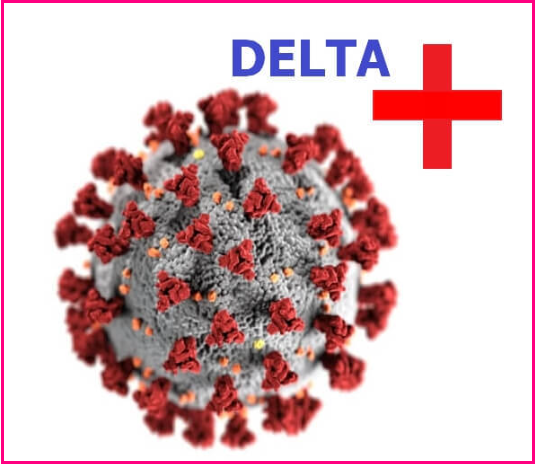 델타 플러스 변이 전파력과 특징/돌파감염/백신 효과