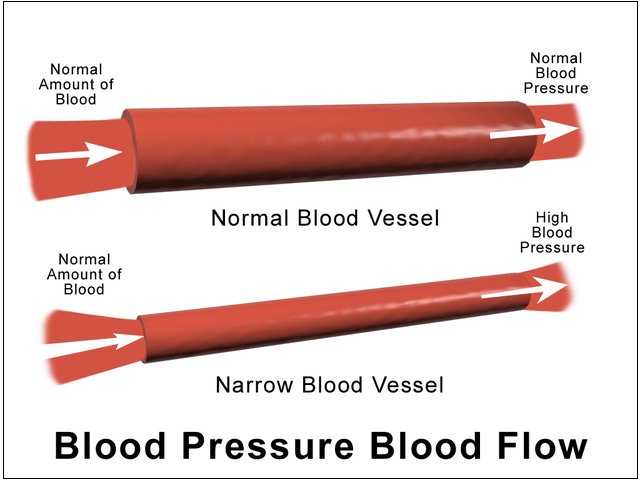 고혈압에 아연(Zinc)의 놀라운 효과 Discovery offers a potential new pathway to treat hypertension