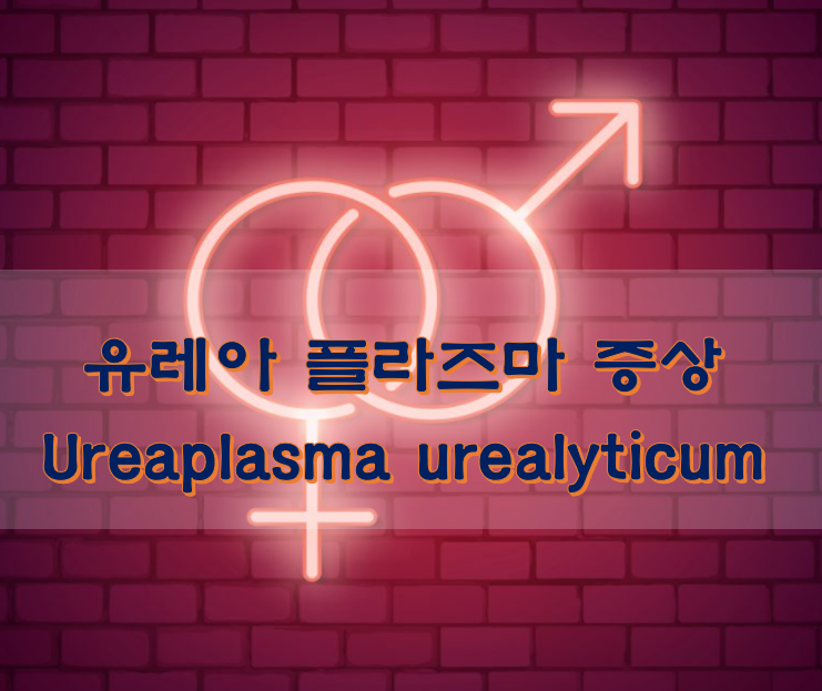유레아 플라즈마 Ureaplasma urealyticum 증상