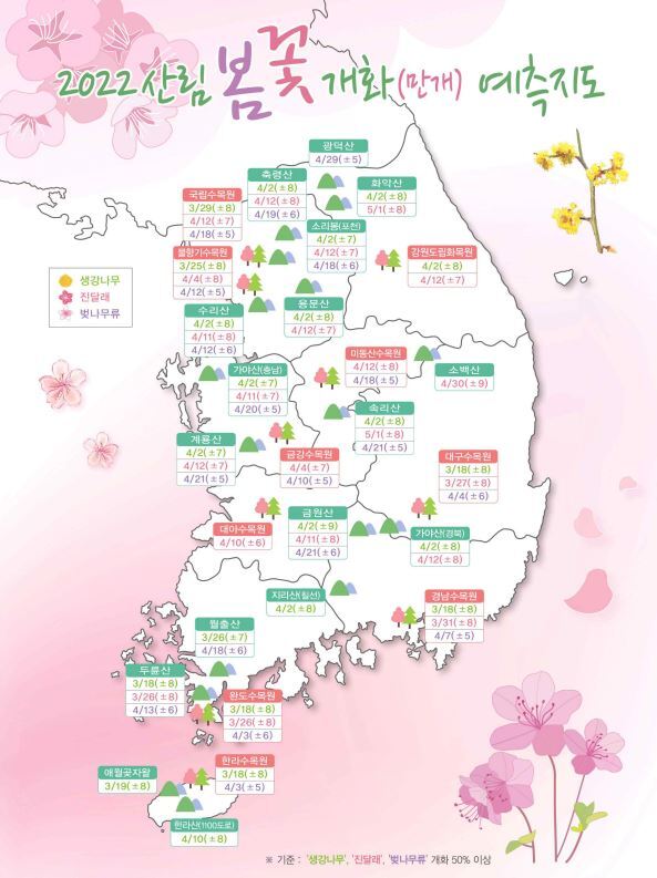 2022 벚꽃 개화시기 지역별 진달래꽃 생강나무 만개시기