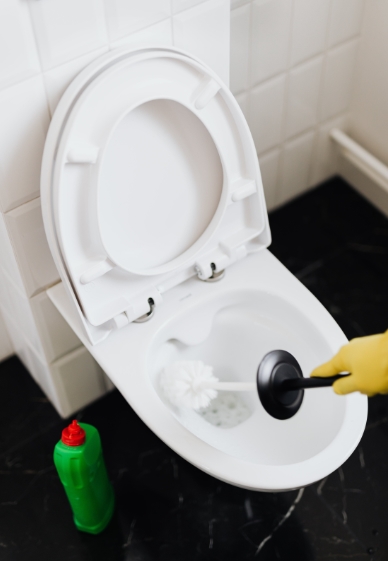 변기속 생긴 물때 빨리 제거해야 하는 이유와 방법- 화장실 위생 관리의 필수