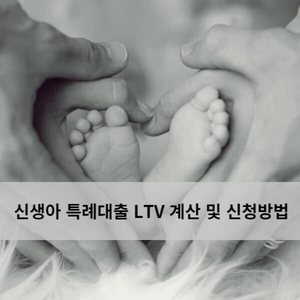 신생아 특례대출 LTV, DTI 계산기 및 신청방법