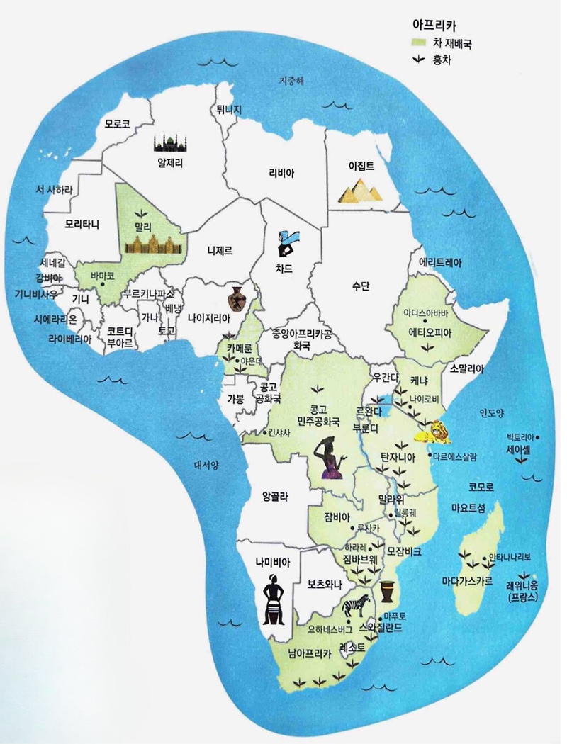 [자료 #44] 아프리카의 차 재배국