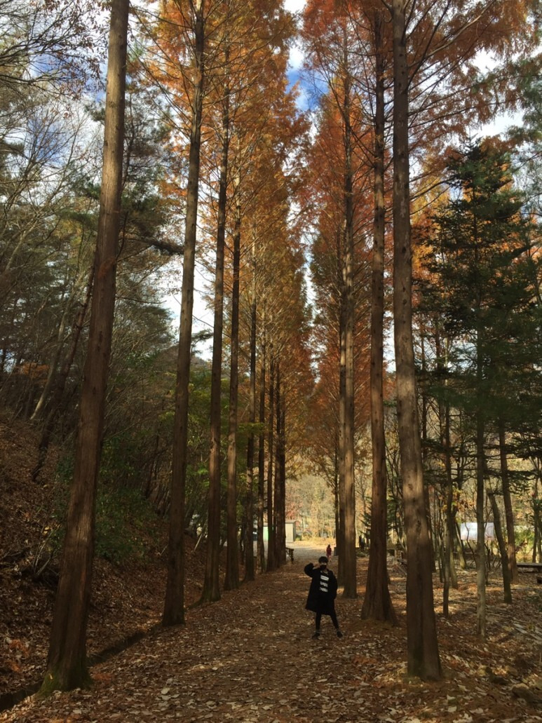 대전 상소동산림욕장(2021. 11. 13)