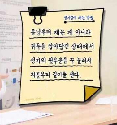 (비뇨기과) 한국 평균 크기 논란과 사이즈 재는 법