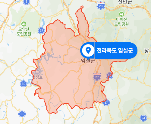 전북 임실군 동거녀 장애 아들 살인사건 (2019년 9월 사건 - 무기징역형)