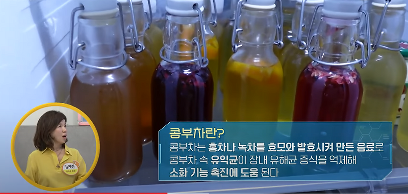 콤부차 효능 위건강에좋은콤부차 추천 디톡스다이어트 콤부차 푸딩 슬러시 만드는법 소화촉진 콤부차 부작용 나는몸신이다
